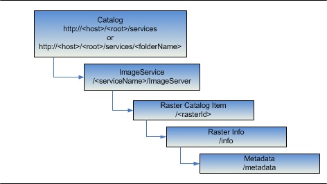 Metadata